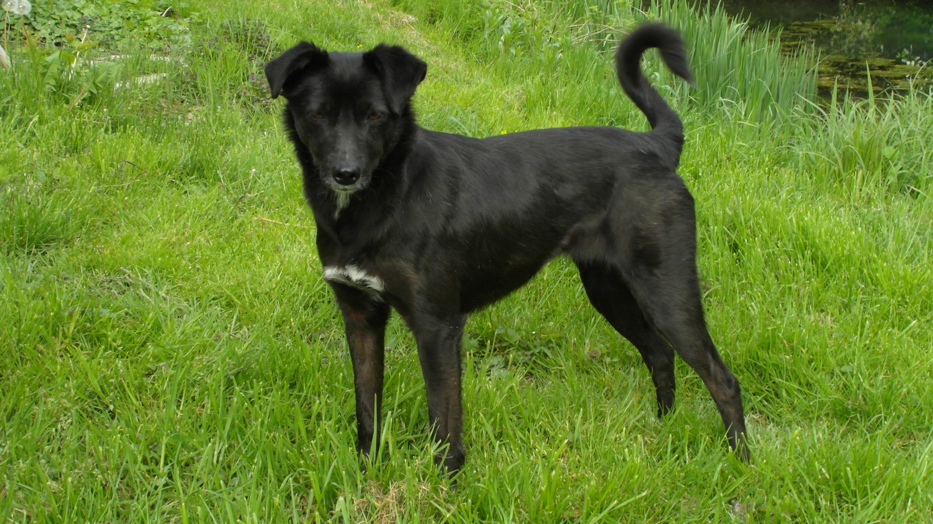 Coco7.JPG (1920 x 1080)